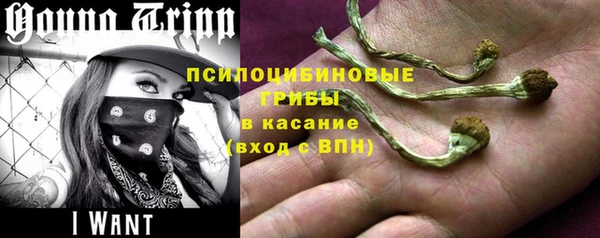 каннабис Белокуриха